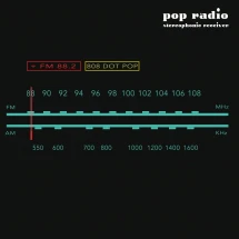 808 Dot Pop - FM88.2 (CD)