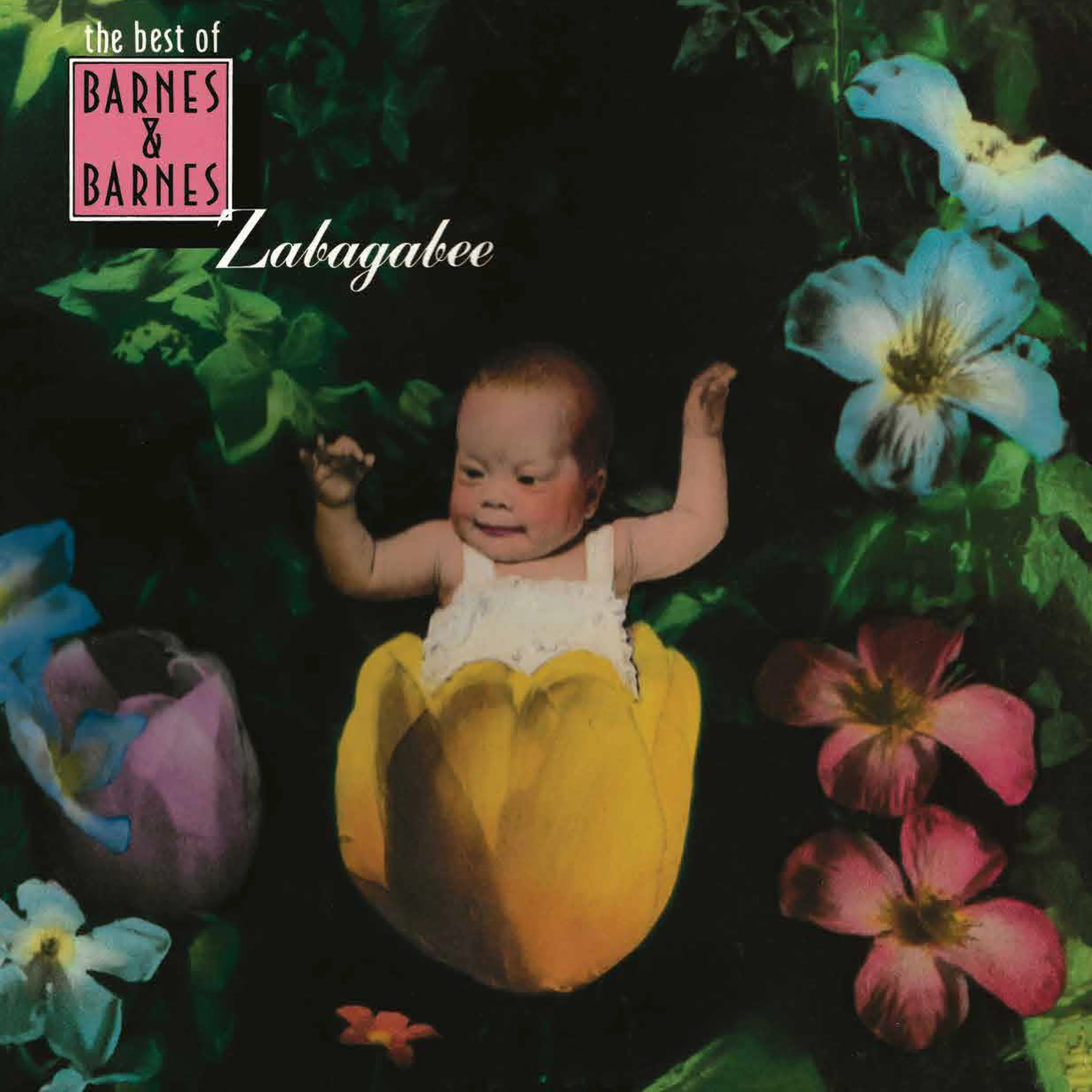 Barnes & Barnes - Zabagabee: The Best Of Barnes & Barnes (CD) PREORDER