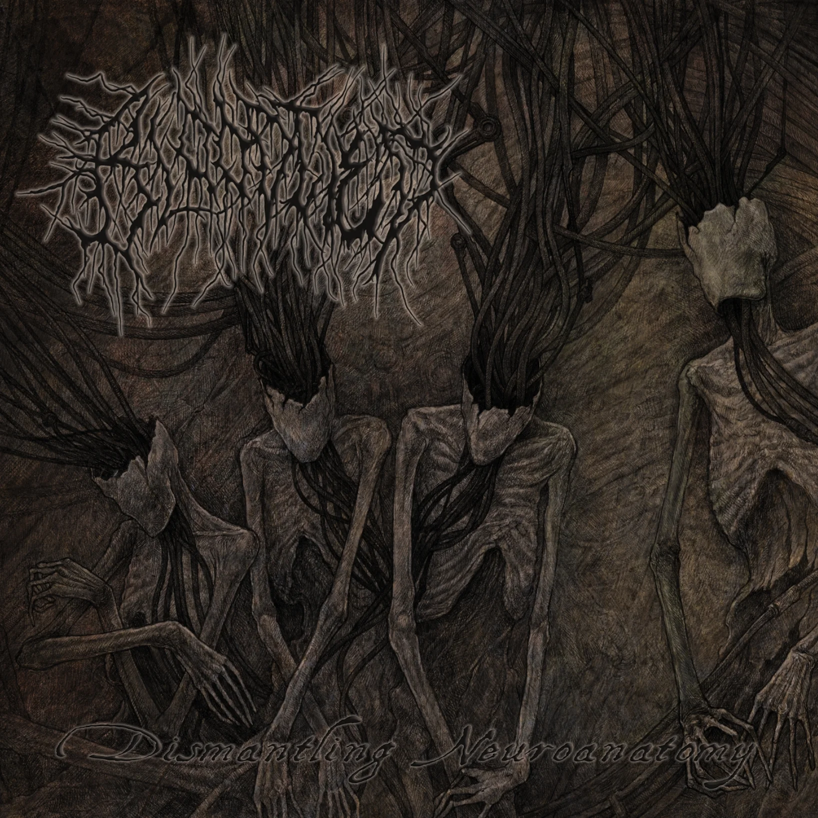 Bloodtied - Dismantling Neuroanatomy (CD)