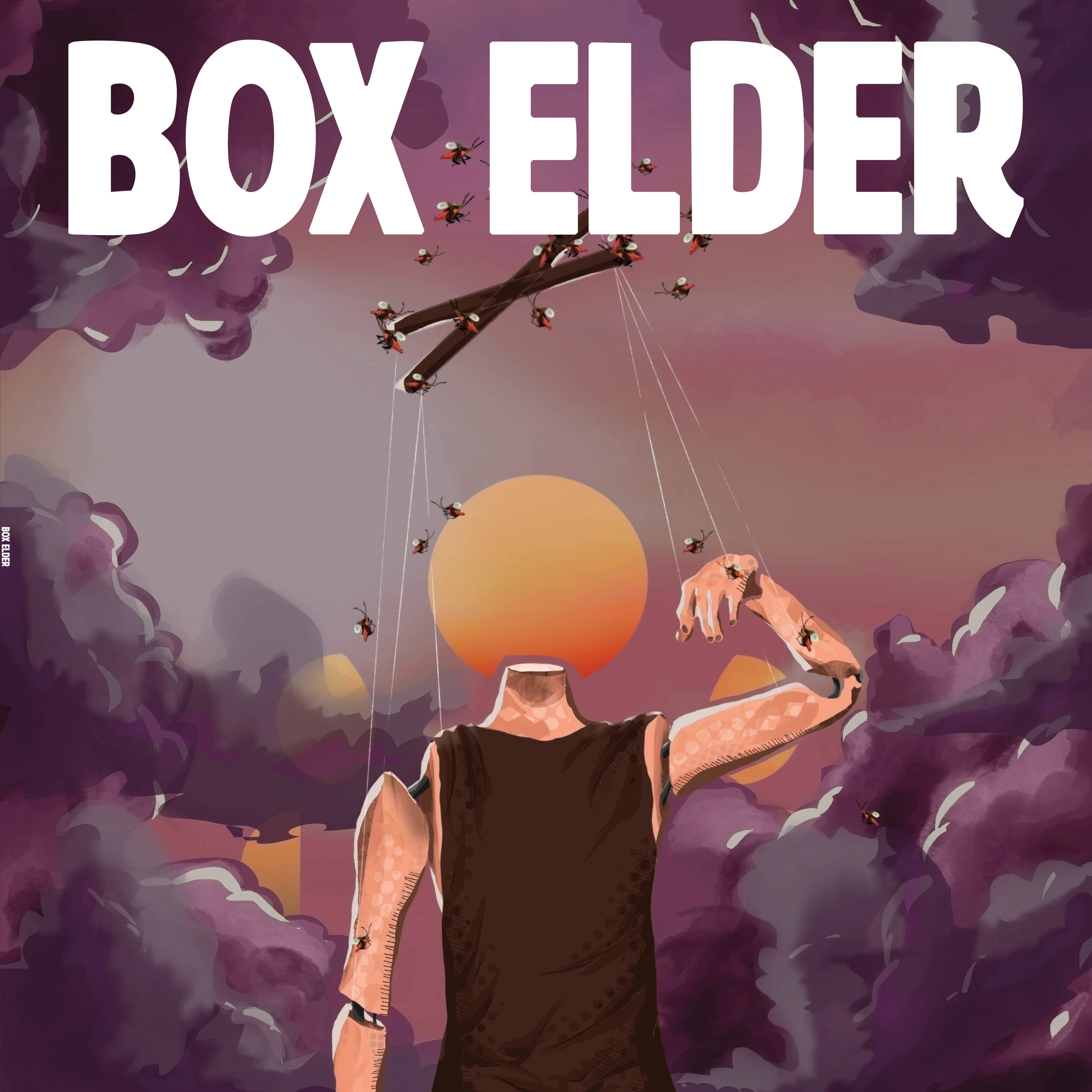 Box Elder - Box Elder (LP) PREORDER
