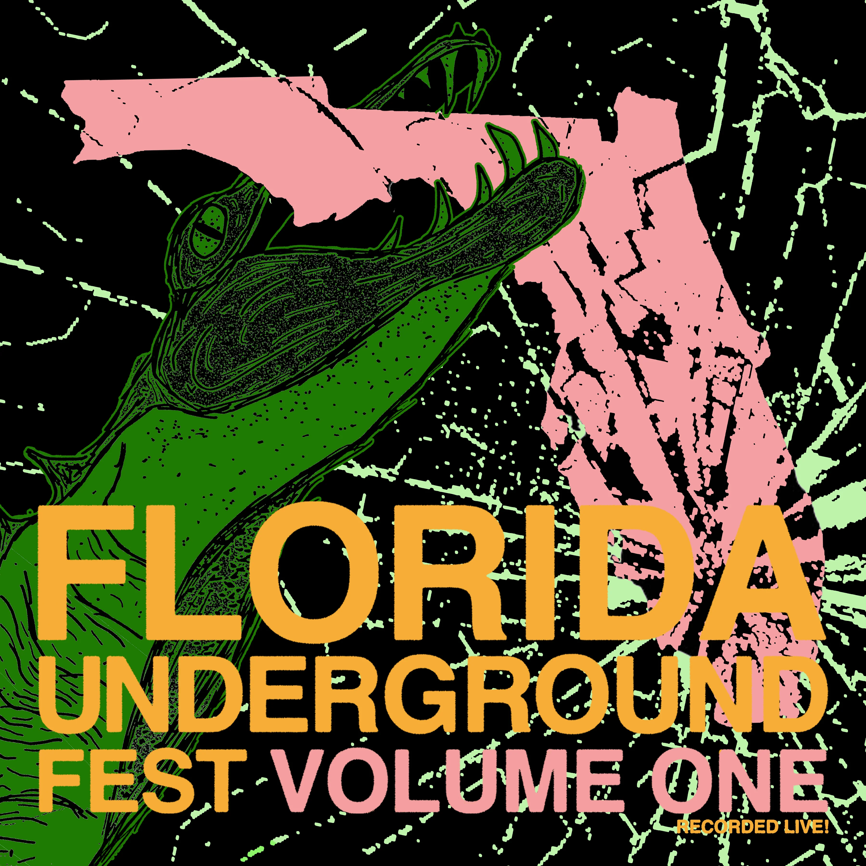 Florida Underground Fest Vol. 1 (LP)