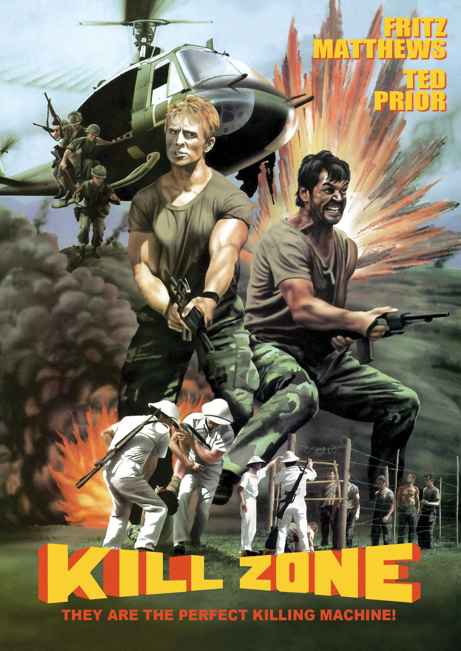 Kill Zone (DVD)