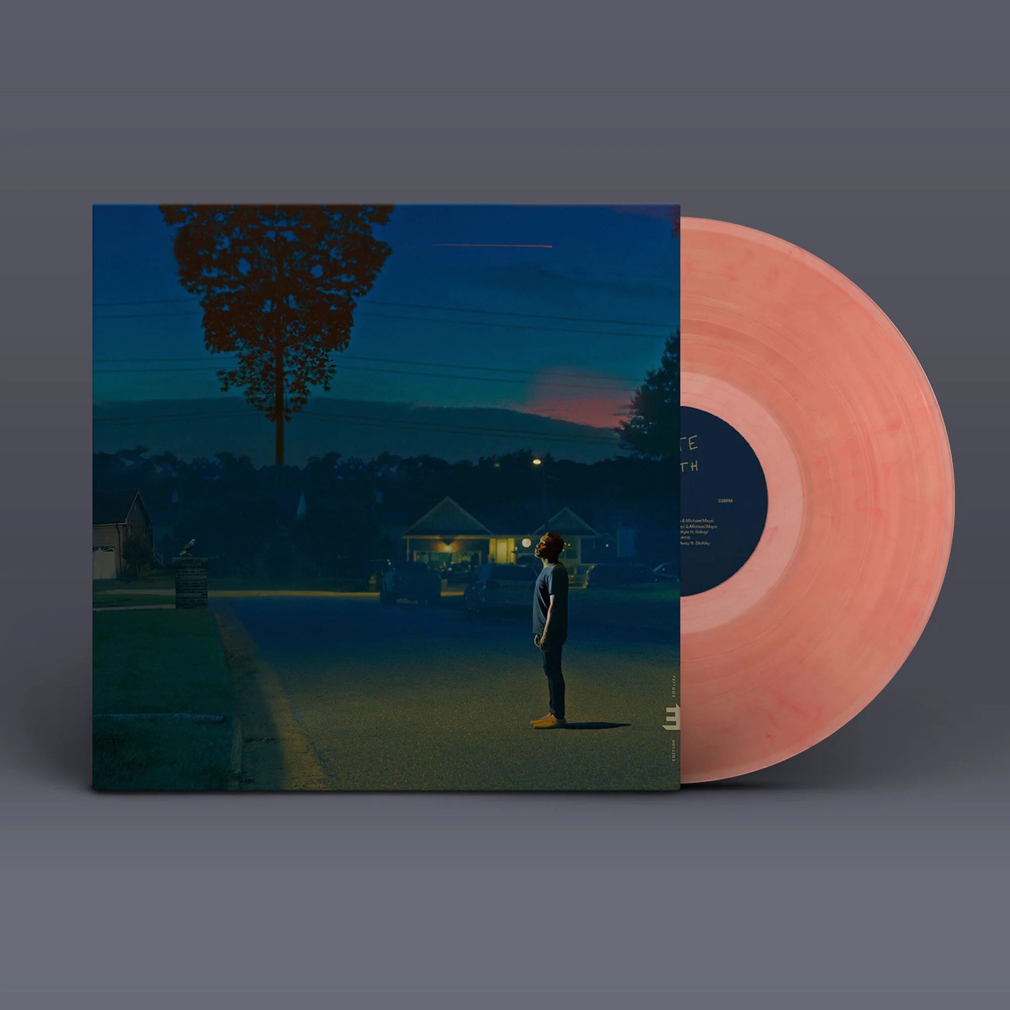 Nate Smith - Kinfolk 2: See the Birds (LP)