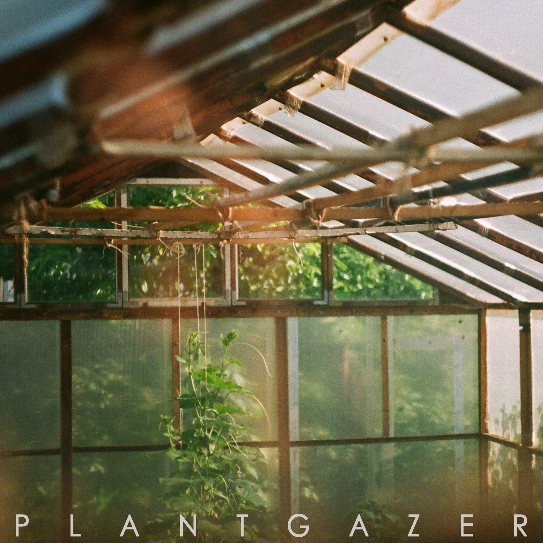 Show Me A Dinosaur - Plantgazer (CD)