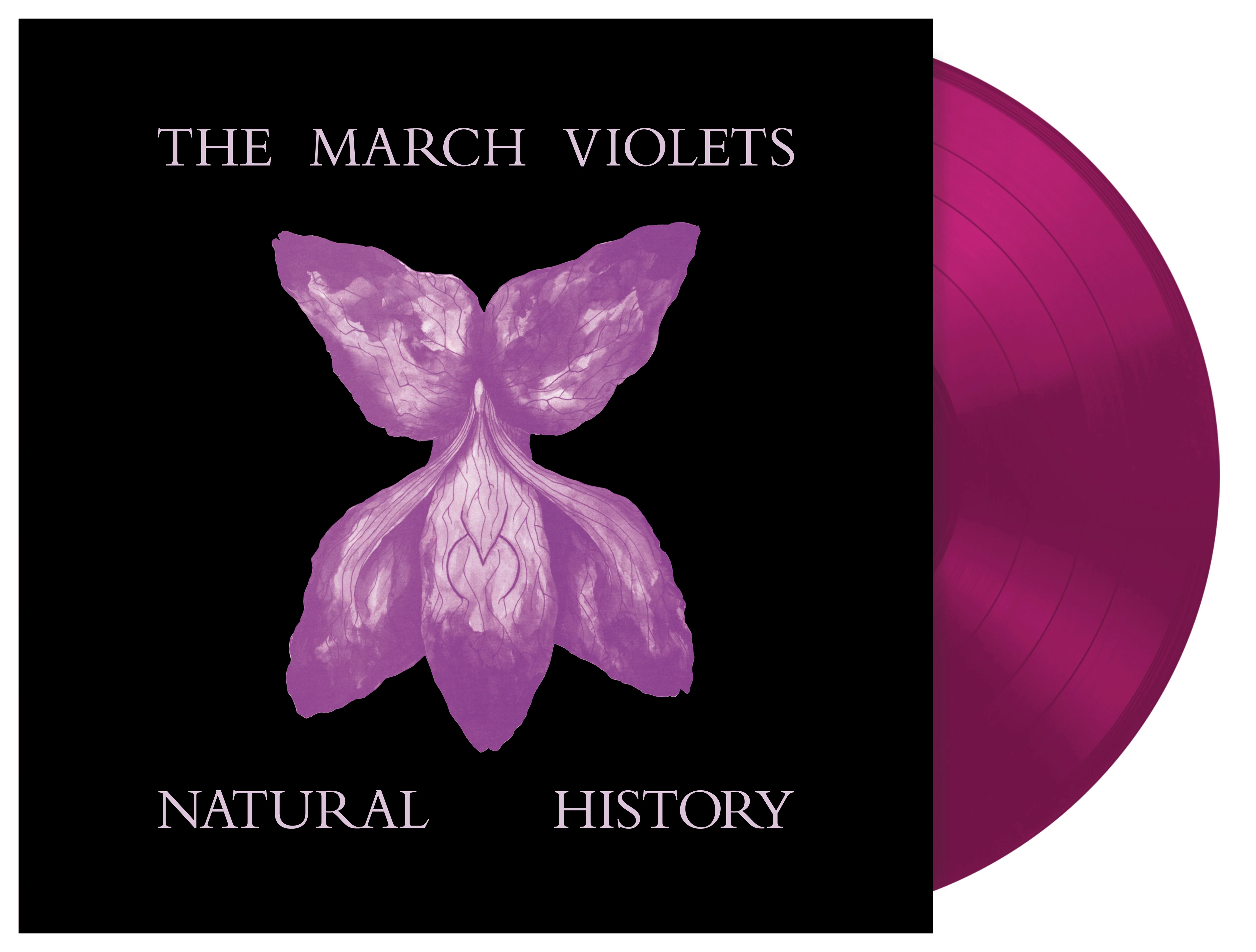 The March Violets - Natural History (Violet Vinyl) (LP) PREORDER - Image 2